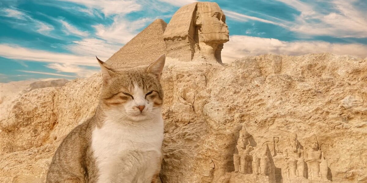 Egyptat cat goddess