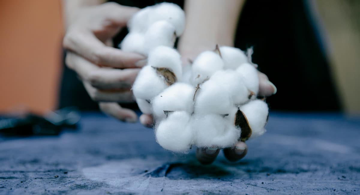 Egyptian cotton