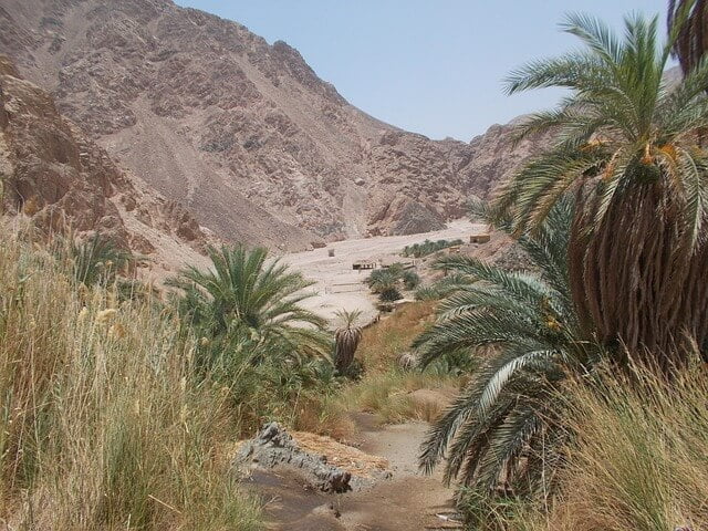 Siwa Oasis Egyptat