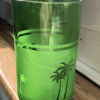 Green Palms Glasses