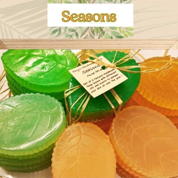 Seasons Package