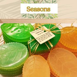 Seasons Package