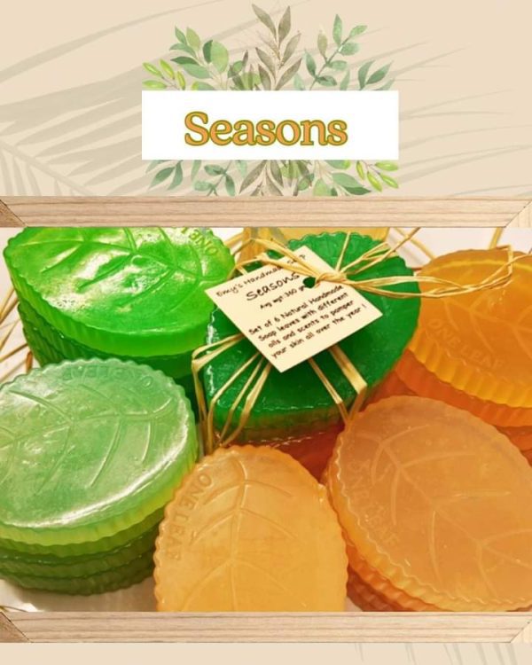 Seasons Package