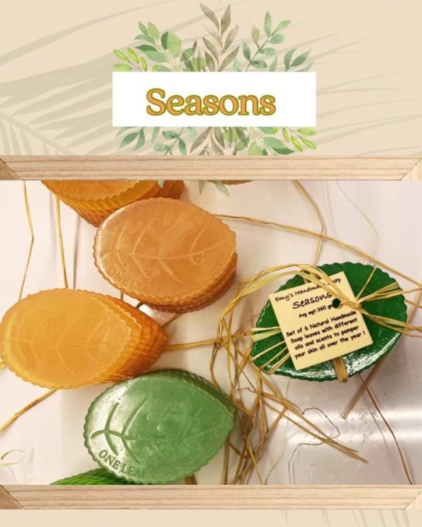 Seasons Package