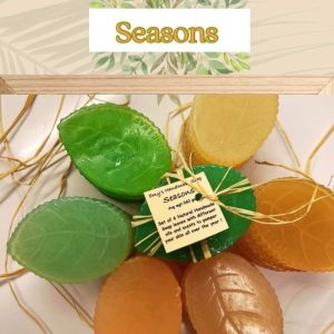 Seasons Package