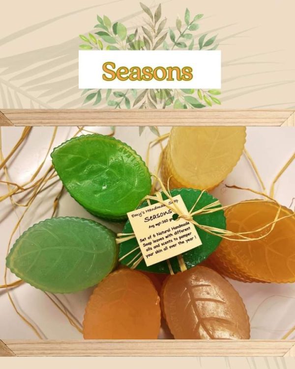 Seasons Package