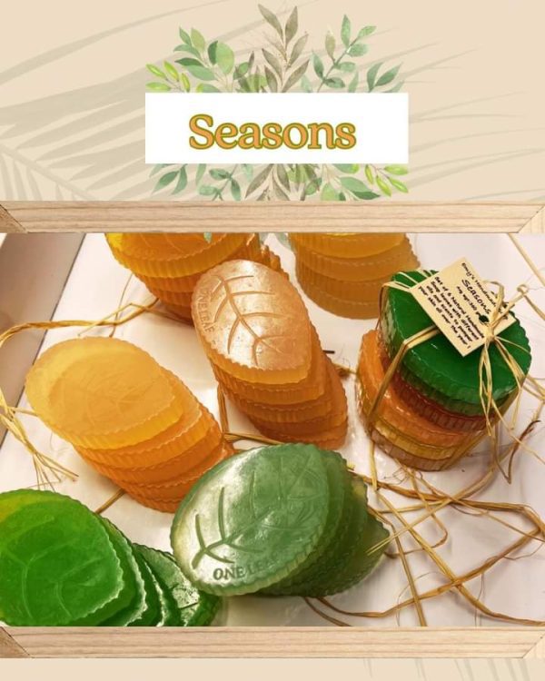 Seasons Package