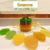 Seasons Package