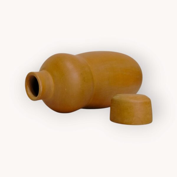 Clay Water Bottle (9) Clay Water Bottle
