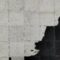 Cowhide Rugs 02