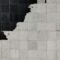 Cowhide Rugs 02