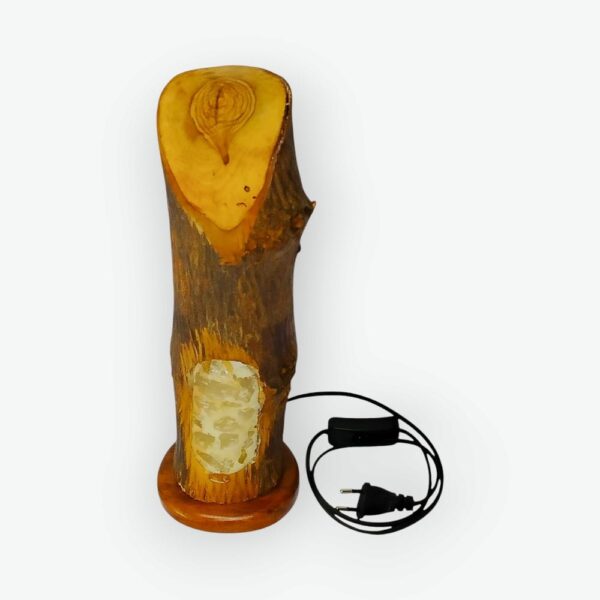 Glow Olive Trunk Siwa (1) Glow Olive Trunk Siwa