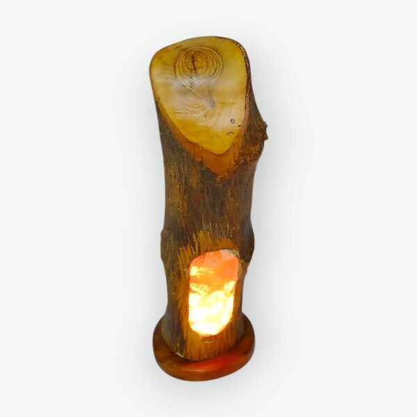 Glow Olive Trunk Siwa (3) Glow Olive Trunk Siwa