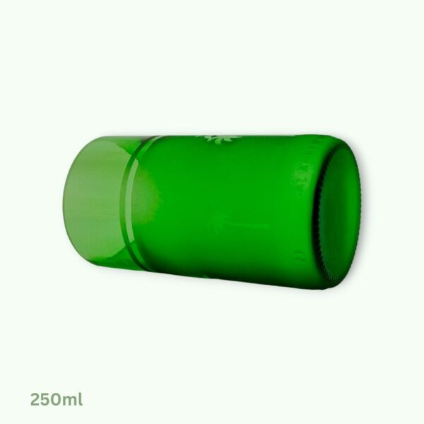 Green Palms Glasses