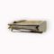 Palm Stalk Clutch