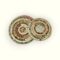 Pan Coasters C 01 (10) Pan Coasters